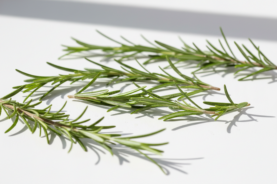 Does Rosemary Oil Help Hair Growth? A Science-Backed Guide